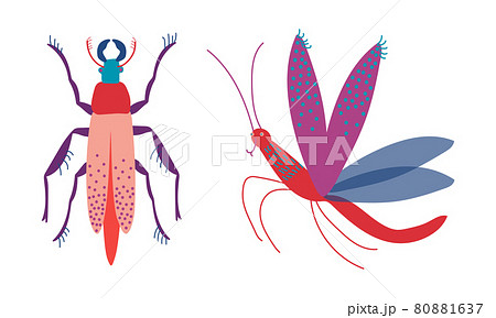 Mosquito and Stag Beetle Insects as Hexapod Flying Creature with Jointed Legs and Pair of Antennae Vector Set Mosquito and Stag Beetle Insects as Hexapod Flying Creature with Jointed Legs and Pair of Antennae Vector Set 80881637