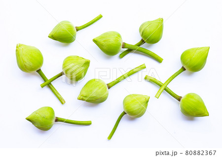 Lotus flower on white background. Lotus flower on white background. 80882367