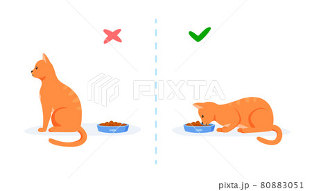 Cats With Good And Bad Appetite Picky Cat のイラスト素材