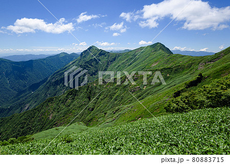 快晴の空と谷川連峰・川棚ノ頭 80883715