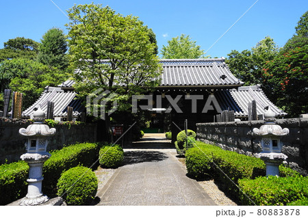 8月 世田谷916武家屋敷門(阿波徳島藩主・峰須賀家の中屋敷門を移築)・西澄寺山門 8月 世田谷916武家屋敷門(阿波徳島藩主・峰須賀家の中屋敷門を移築)・西澄寺山門 80883878