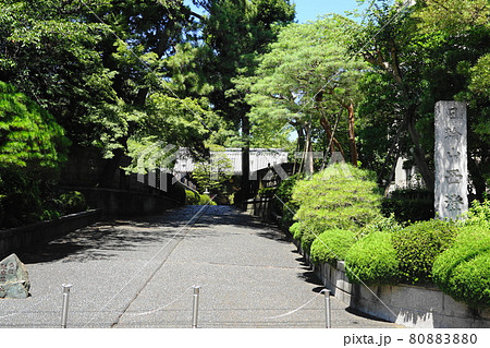 8月　世田谷914武家屋敷門(阿波徳島藩主･峰須賀家の中屋敷門を移築)･西澄寺山門 80883880