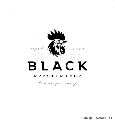 Vintage Vector rooster head logo design Vintage Vector rooster head logo design 80884143
