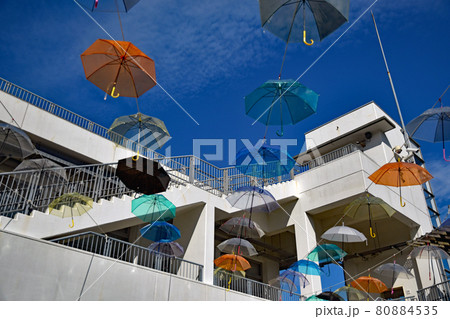 夏の空に虹がかかる。淡路島国営明石海峡公園のれいんぼーあんぶれら 80884535