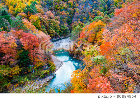 白砂渓谷(秋) 白砂渓谷(秋) 80884954