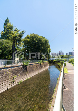 夏空の下 神田川の流れ 杉並区立下高井戸おおぞら公園の北側 下高井戸駅北口 京王線 東京都杉並区 夏空の下 神田川の流れ 杉並区立下高井戸おおぞら公園の北側 下高井戸駅北口 京王線 東京都杉並区 80885347