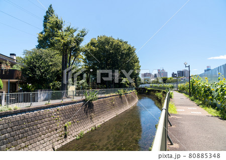穏やかな神田川の流れ 杉並区立下高井戸おおぞら公園の北側 下高井戸駅北口 京王線 東京都杉並区 穏やかな神田川の流れ 杉並区立下高井戸おおぞら公園の北側 下高井戸駅北口 京王線 東京都杉並区 80885348