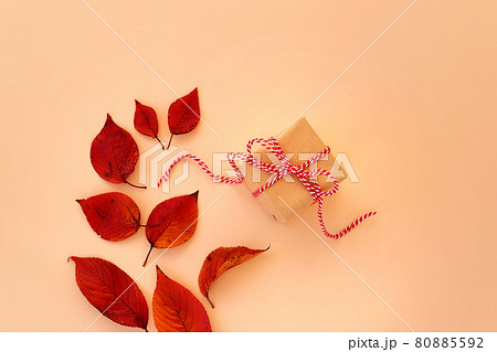 秋の背景　秋ギフト　秋のプレゼント 80885592