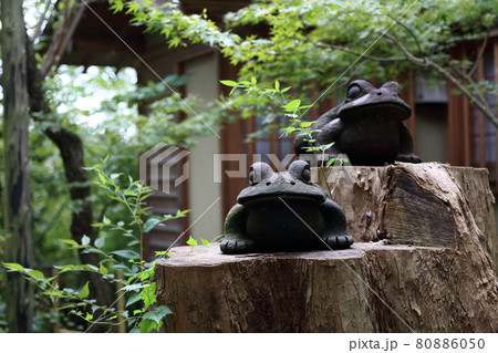 かえる寺 如意輪寺 かえる寺 如意輪寺 80886050