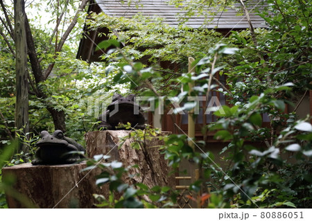 かえる寺　如意輪寺 80886051