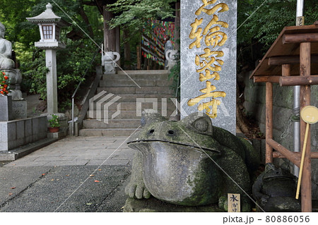 かえる寺　如意輪寺 80886056