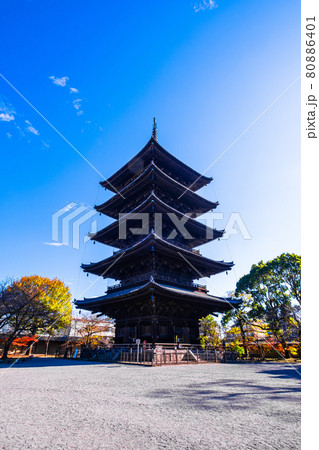 東寺の五重塔と紅葉 東寺の五重塔と紅葉 80886401