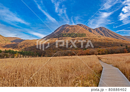 秋の九重山・タデ原湿原 80886402