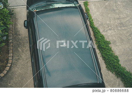 車に鳥のフン 80886688