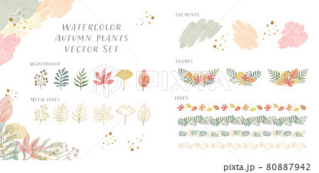 水彩風　紅葉と植物　グリッターの素材ベクターイラスト　パーツセット 80887942