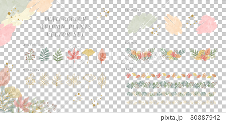 水彩風　紅葉と植物　グリッターの素材ベクターイラスト　パーツセット 80887942