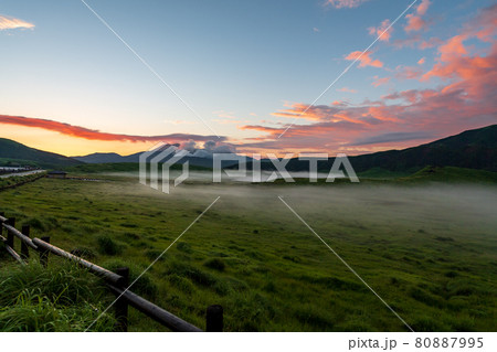 早朝の夏の阿蘇に浮かぶ雲海に放牧された馬や牛が居る夜明けの風景 早朝の夏の阿蘇に浮かぶ雲海に放牧された馬や牛が居る夜明けの風景 80887995