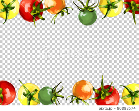 彩色小番茄插圖，帶有厚水彩、頂部和底部框架 80888574