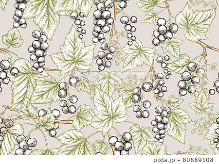 Black currant. Ripe berries. Seamless pattern, background. Black currant. Ripe berries. Seamless pattern, background. 80889108