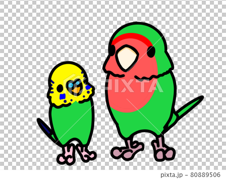 セキセイインコとコザクラインコのイラスト素材 セキセイインコとコザクラインコのイラスト素材
