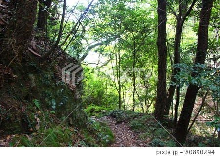 広島県にある烏帽子岩山を登山 80890294