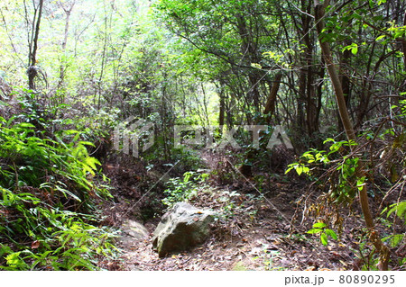 広島県にある烏帽子岩山を登山 80890295