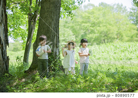 森で虫とりする子どもたち 80890577