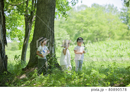 森で虫とりする子どもたち 80890578