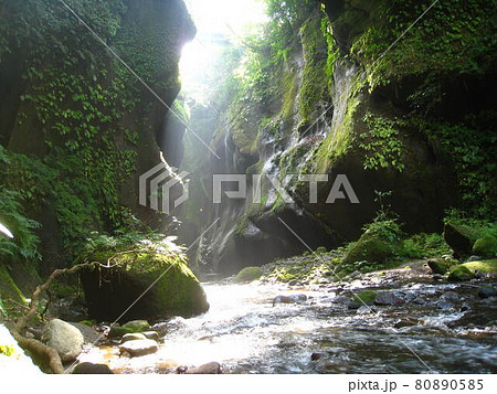 大自然の造形美 由布川峡谷の清流 大自然の造形美 由布川峡谷の清流 80890585