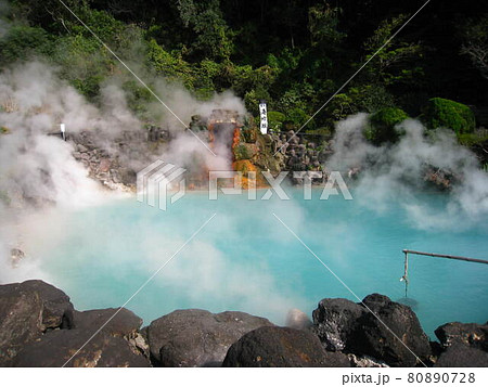 大分県別府温泉で地獄めぐり 80890728