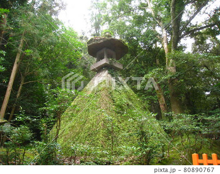 宇佐神宮　大分県宇佐市 80890767