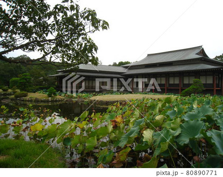 宇佐神宮 大分県宇佐市 宇佐神宮 大分県宇佐市 80890771