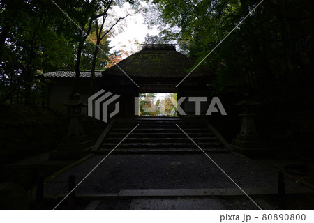 法然院 山門 法然院 山門 80890800