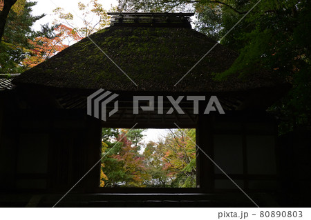 法然院 山門 法然院 山門 80890803