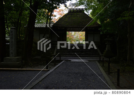 法然院　山門 80890804