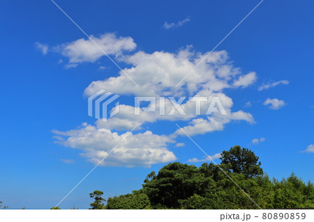 夏 青空 雲 木 夏 青空 雲 木 80890859