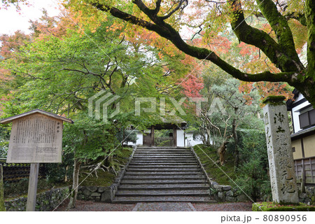 安楽寺 山門 安楽寺 山門 80890956