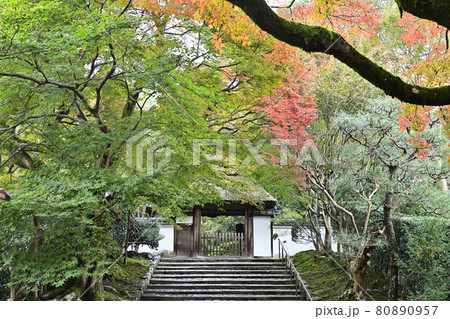 安楽寺　山門 80890957