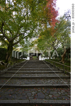安楽寺 山門 安楽寺 山門 80890960