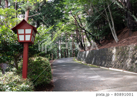 参道 灯籠 横 参道 灯籠 横 80891001