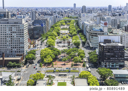 ミライタワーより久屋大通公園を見下ろす風景 80891489