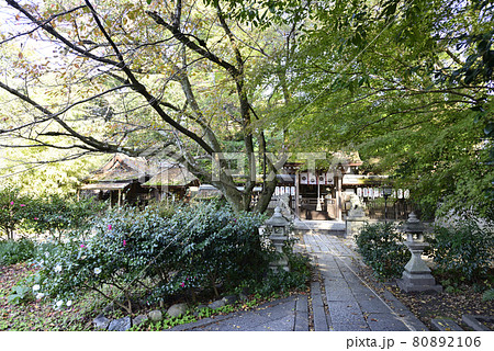 京都御苑　宗像神社 80892106
