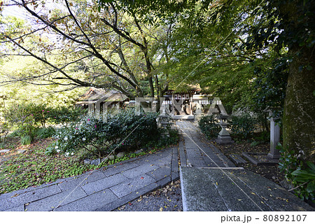 京都御苑 宗像神社 京都御苑 宗像神社 80892107