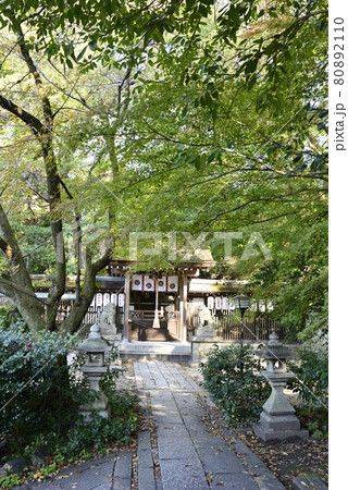 京都御苑　宗像神社 80892110