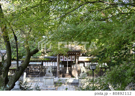 京都御苑 宗像神社 京都御苑 宗像神社 80892112