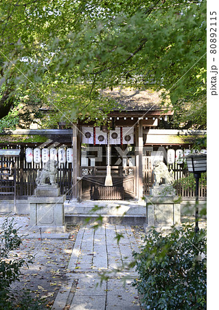 京都御苑 宗像神社 京都御苑 宗像神社 80892115