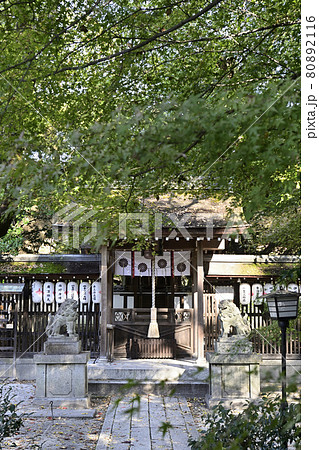 京都御苑 宗像神社 京都御苑 宗像神社 80892116