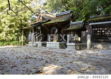 京都御苑 宗像神社 京都御苑 宗像神社 80892120