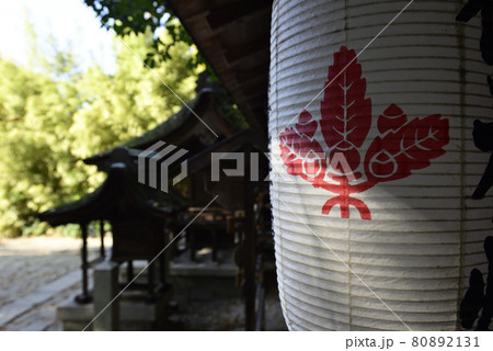 京都御苑 宗像神社 京都御苑 宗像神社 80892131