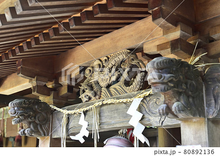 京都御苑 宗像神社 京都御苑 宗像神社 80892136